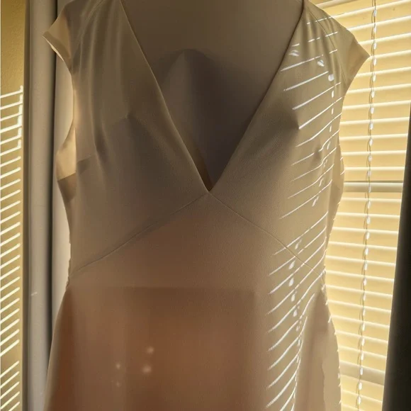 Pronovias Barcelona Cream Lace with Intricate Patterns - Picture 14 of 16